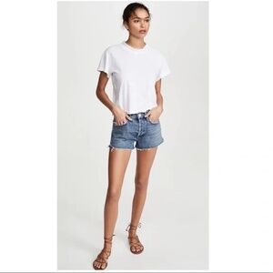 Women's Size 30 AGOLDE Parker Vintage Cut Off Denim Shorts in Lowkey